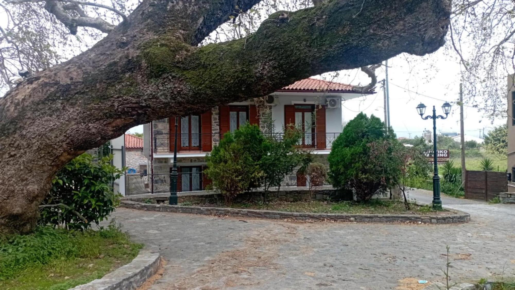 Ξενώνας Ίρις Μυστράς Εξωτερικό φωτογραφία